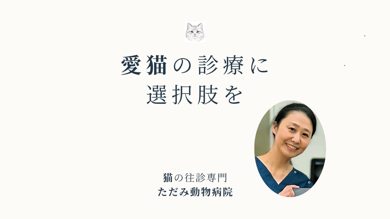 猫の往診専門 ただみ動物病院のトップバナー