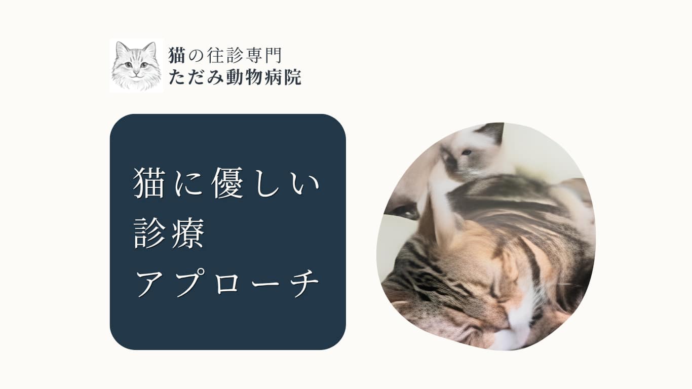 猫の往診専門 ただみ動物病院のトップバナー