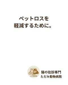 猫の往診専門 ただみ動物病院のInstagram投稿
