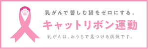 フッターイメージ