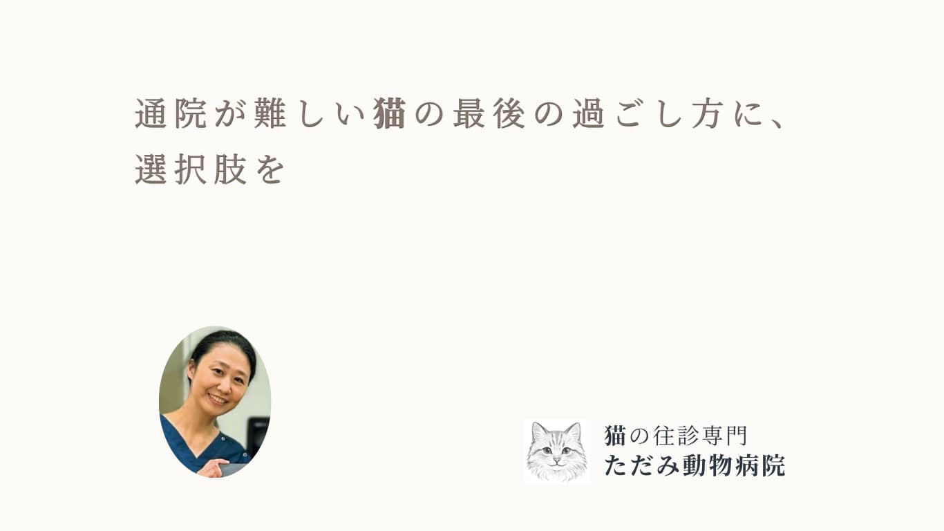 猫の往診専門 ただみ動物病院のトップバナー