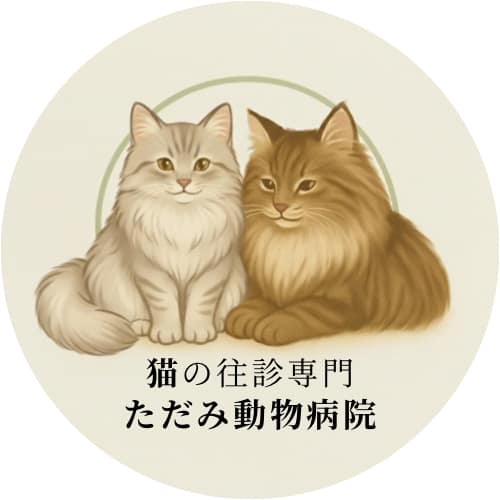 【猫の往診専門】ただみ動物病院