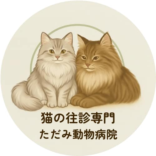 【猫の往診専門】ただみ動物病院|武蔵野市・吉祥寺・三鷹・東京都内|通院が難しい猫に誠実に向き合う診療