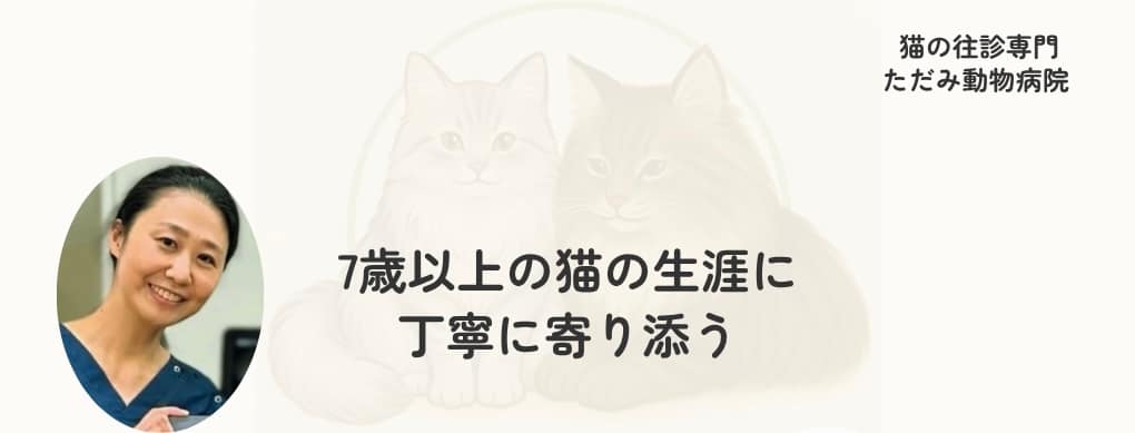 猫の往診専門 ただみ動物病院のトップバナー