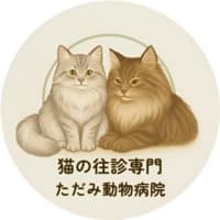 【猫の往診専門】ただみ動物病院|武蔵野市・吉祥寺・三鷹・東京都内|通院が難しい猫に誠実に向き合う診療