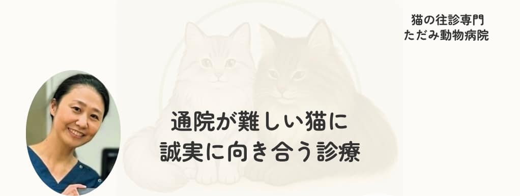 猫の往診専門 ただみ動物病院のトップバナー